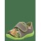 SUPERFIT Spotty - GREEN - 23/14.3 cm – kuva 1