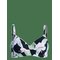 ROXY Pt Essentials Uw Dcup - ANTHRACITE SPRING CHARMING - M – kuva 1