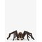 SCHLEICH Schleich Hp Aragog - MULTI - One Size – kuva 1