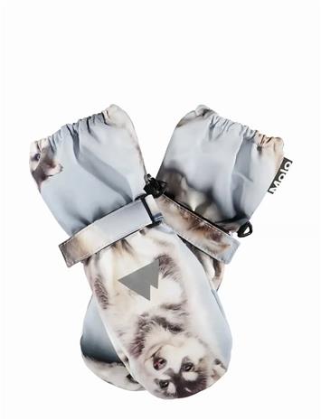 MOLO Igor - HUSKY CUBS - 6-8Y – kuva 1/2