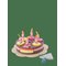 VILAC Big Birthday Cake - MULTI - One Size – kuva 1
