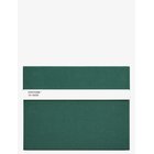 PANTONE Pantone New Notebook With Pencil. / Lined - DARK GREEN 19-5232 - One Size