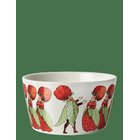 DESIGN HOUSE STOCKHOLM The Strawberry Family Bowl - MULTI - 50 CL