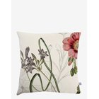 AU MAISON Cushion Cover Summer - CREME - 45X45 cm