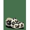 CROCS Classic Pop Petals Clog T - SUMMIT WHITE/BLACK - 24/25 – kuva 1