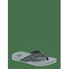 REEF Cushion Phantom 2.0 - ASH/GREY - 43