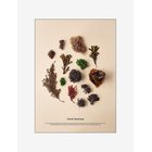 SUPERMERCAT Dansk Spisetang - MULTI-COLORED - 50X70 cm