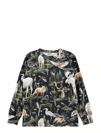 MOLO Rill - FOREST FAUNA - 116 – kuva 1/2