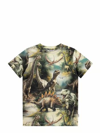 MOLO Ralphie - DINO HARMONY - 122 – kuva 1/2