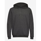 JBS OF DENMARK Jbs Of Dk Logo Hoodie Fsc - DARK GREY - XXL