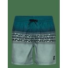 O'NEILL O'neill Logo Stripe 16'' Swimshorts - GREEN HERITAGE STRIPE - M
