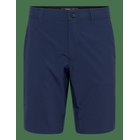 O'NEILL O’neill Hybrid 19” Shorts - ENGLISH EVENING - 29