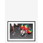 DEMOCRATIC GALLERY Poster Rainbow Dogs - RED - 50X70