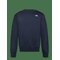 THE NORTH FACE M Evolution Simple Dome Regular Crew - SUMMIT NAVY - L – kuva 1