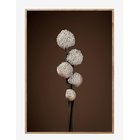 CHICURA Unfold - Brown - 70X100Cm - MULTIPLE COLOR - 70X 100 cm