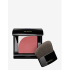 SENSAI Blooming Blush - 01 BLOOMING MAUVE - 4 G