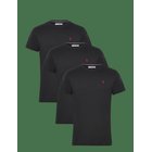 U.S. POLO ASSN. Uspa T-Shirt Arjun 3-Pack - 19-4004TCX TAP SHOE - XXL