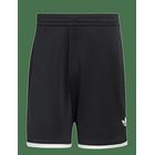 ADIDAS TENNIS Classics Short - 000/BLACK - M