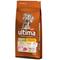 Ultima Medium / Maxi Junior Chicken - 12 kg – kuva 4