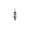 Philips H1 LongLife EcoVision - 2-pakkaus – kuva 1
