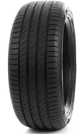 205/55R16 Delinte DS2
