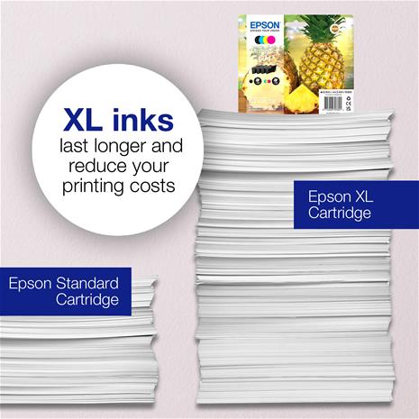Epson Singlepack Black 604XL Ink