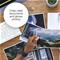 Epson Multipack 4-colours 503 Ink – kuva 3