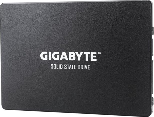 GIGABYTE GP-GSTFS31100TNTD