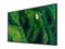 Sony FW-50BZ35PB (50"), LED-televisio – kuva 2