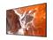 Sony FW-55BZ30PB (55"), LED-televisio – kuva 1