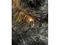 Konstsmide 6563-870 Valosarja 7,2 m, 960 x LED – kuva 4