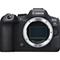 Canon EOS R6 Mark II – kuva 5