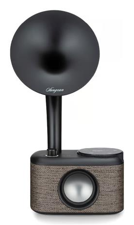 Sangean CP-100D