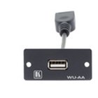 Kramer Electronics Wall Plate Insert - USB (A/A) WU-AA