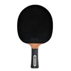Donic Schildkröt WALDNER 3000 751803