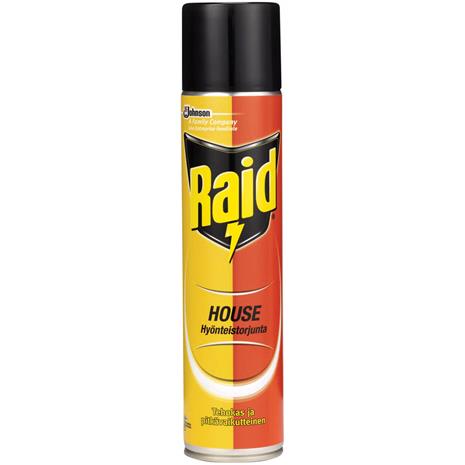 Raid House Hyönteissuihke 300