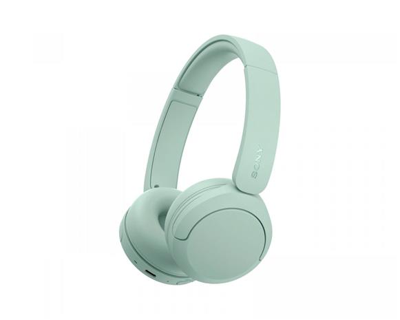 Sony U.K. WHCH530G.CE7