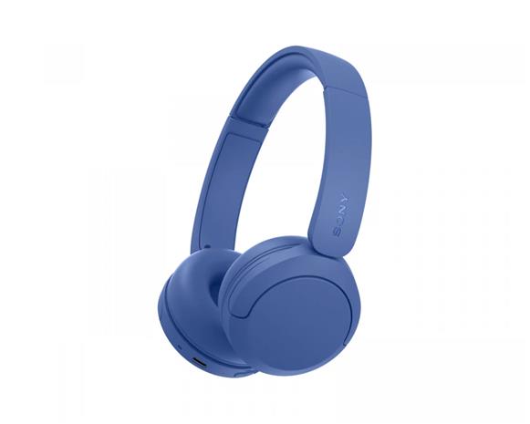 Sony U.K. WHCH530L.CE7