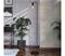 EGLO CRANLEY 1 floor lamp black – kuva 2