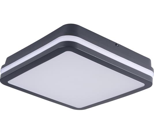 LED Plafond BENO 24-30W CCT-L GR harmaa