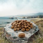 Purizon Sterilised Adult Lohi ja kana - viljaton - 100 g