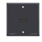 Kramer Electronics Passive Wall Plate - HDMI WP-H1M