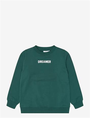 THE NEW Tnvillard Sweatshirt - JUNE BUG - 146/152 – kuva 2/2