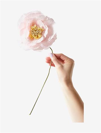 SAT130440_223180689