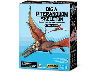 4M KidzLabs / Dig a Pteranodon skeleon