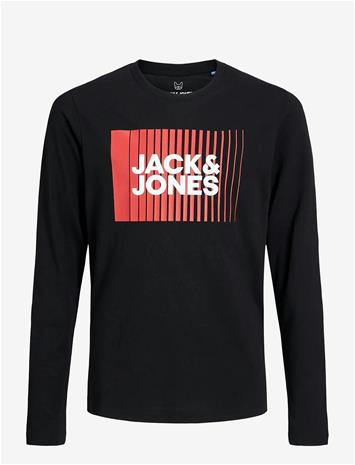 JJJ12257361_227429454