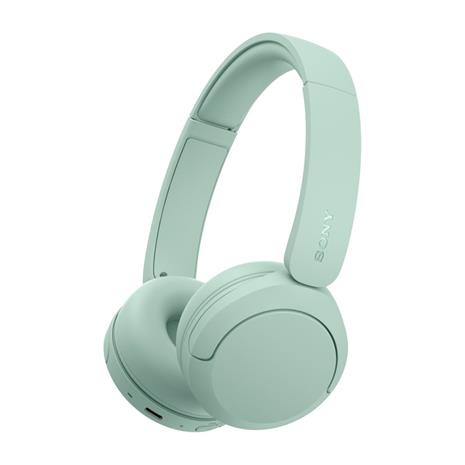 Sony U.K. WHCH530G.CE7