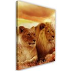 Taulu, Lionit