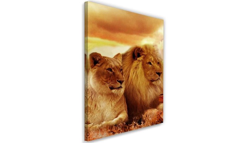 Taulu, Lionit – kuva 1/1