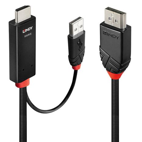Lindy adapter cable - 3 m